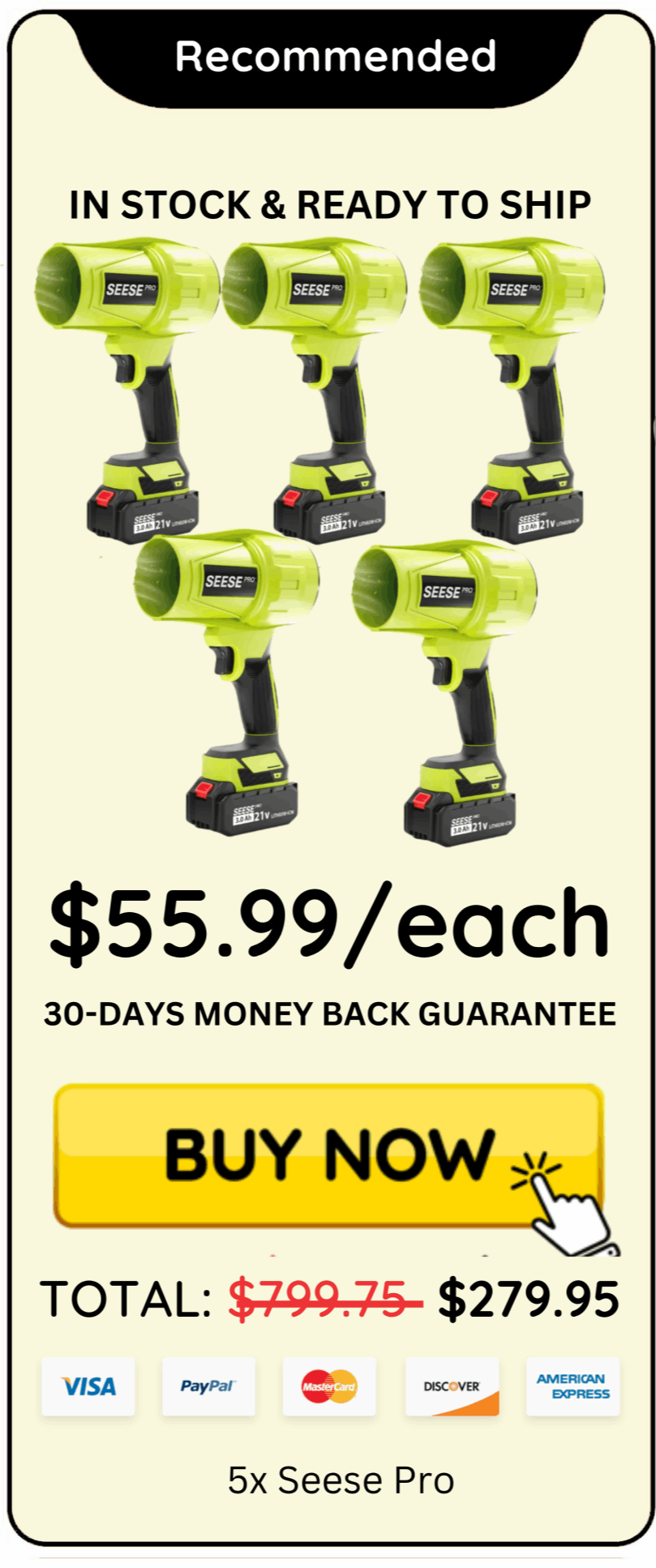 Seese Pro offer price 